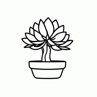 Bonsai Japones para colorir