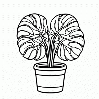 Monstera Costela De Adao para colorir