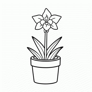 Orquidea Em Vaso para colorir