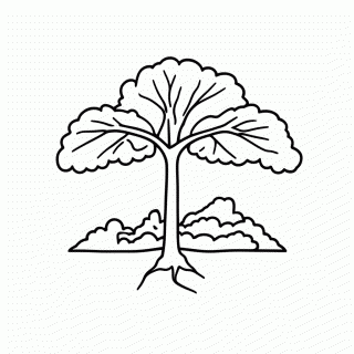 Amazonia Floresta — Pontos Turísticos do Brasil para Colorir