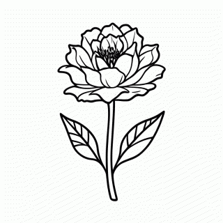 Rosa Azul Rara para colorir
