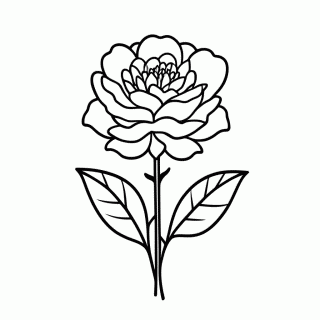 Rosa Com Espinhos — Variedades de Rosas para Colorir