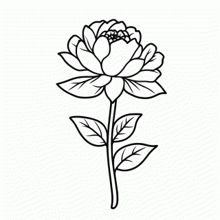 Rosa Do Deserto para colorir