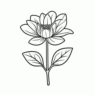 Rosa Do Japao para colorir