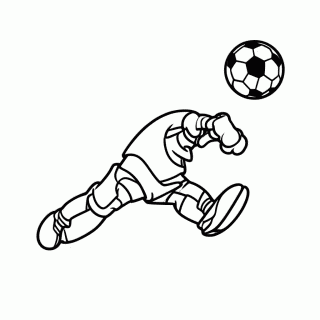 Goleiro do Brasil