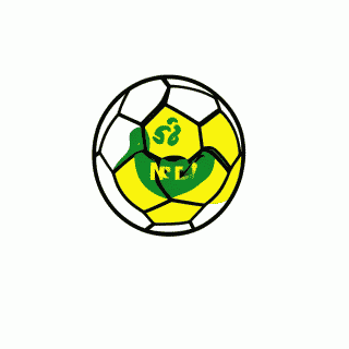5 Estrelas do Pentacampeão