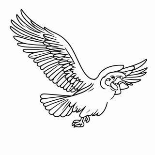 Condor do Equador para colorir
