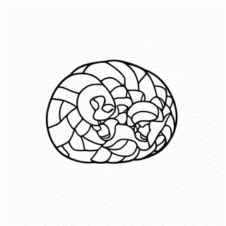 Tatu Bola para colorir