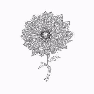 Zentangle Padrão 16 — Zentangle e Doodles para Colorir