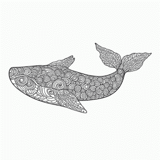 Zentangle Padrão 9 para colorir