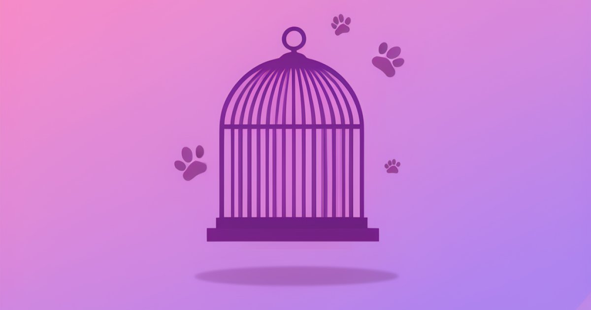 Tamanho de Gaiola para Pássaros — Pets