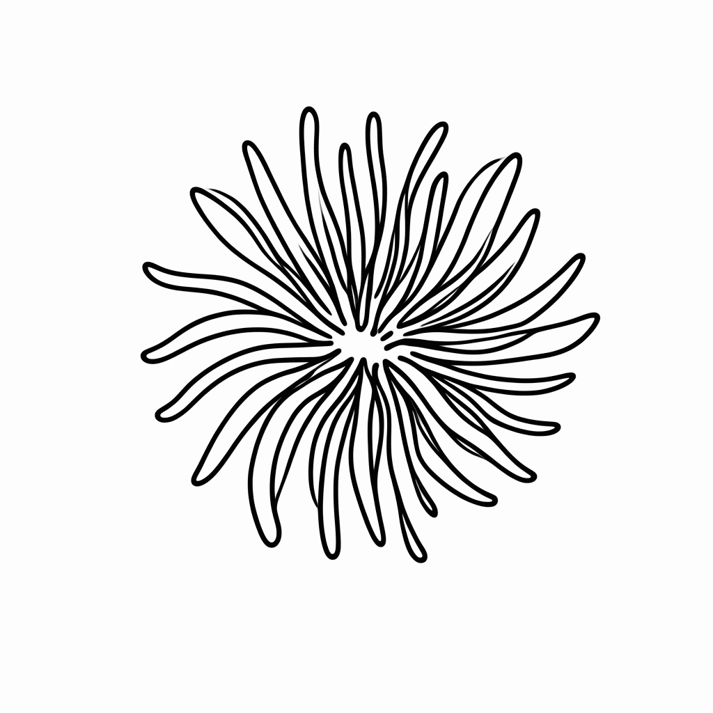 Desenho de Anemona Do Mar para colorir e imprimir grátis em folha A4