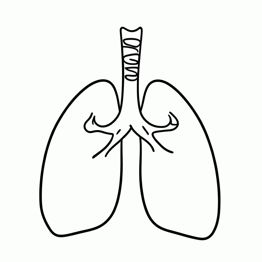 Desenho de Pulmoes para colorir e imprimir grátis em folha A4