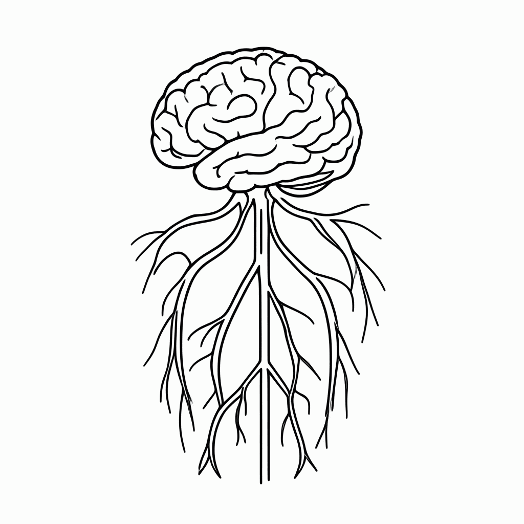 Desenho de Sistema Nervoso para colorir e imprimir grátis em folha A4