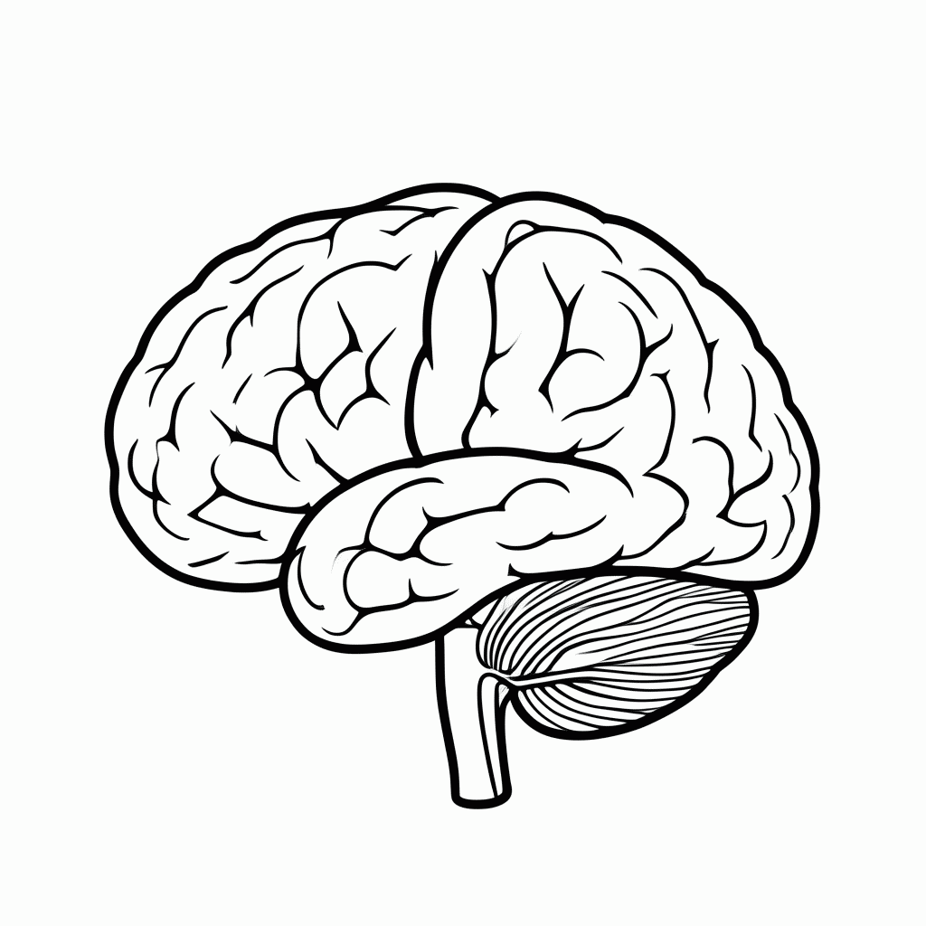 Desenho de Cerebro para colorir e imprimir grátis em folha A4