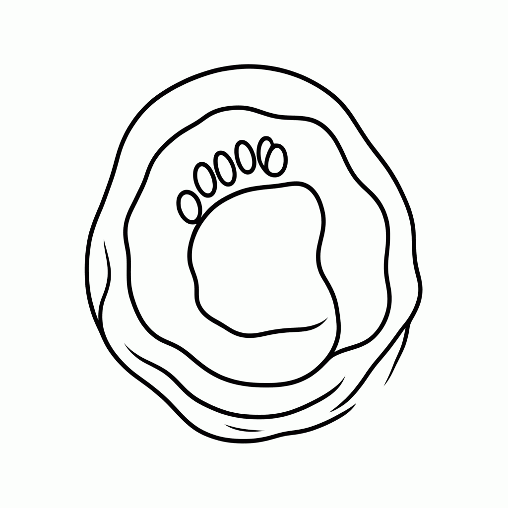 Desenho de Pegada De Jade para colorir e imprimir grátis em folha A4