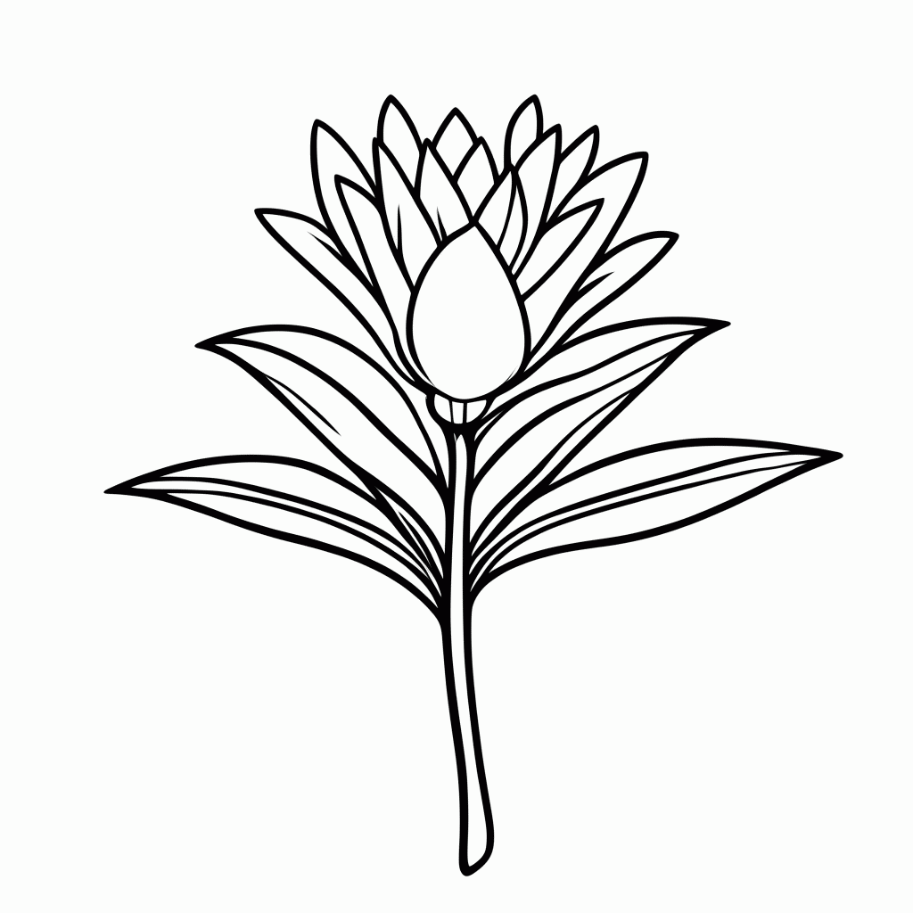 Desenho de Flor De Bromelia Imperial para colorir e imprimir grátis em folha A4