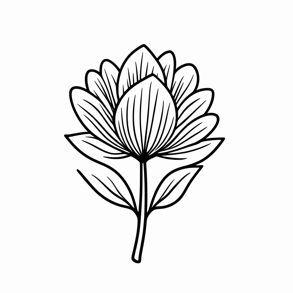 Desenho de Flor Pata De Vaca para colorir e imprimir grátis em folha A4