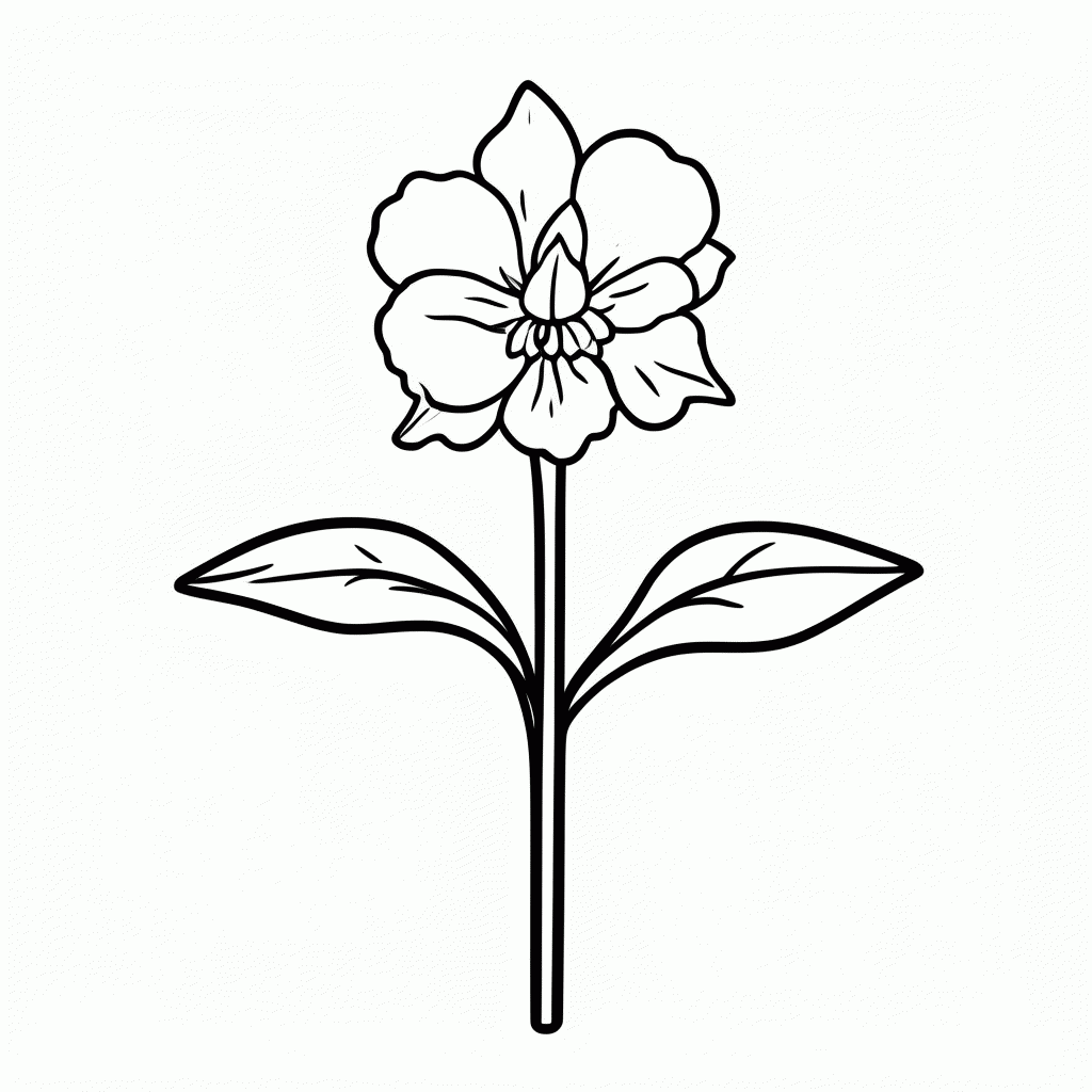 Desenho de Flor Orquidea Cattleya para colorir e imprimir grátis em folha A4