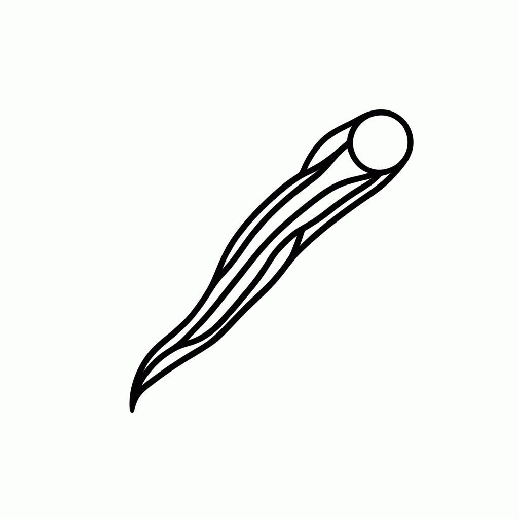 Desenho de Cometa Com Cauda para colorir e imprimir grátis em folha A4