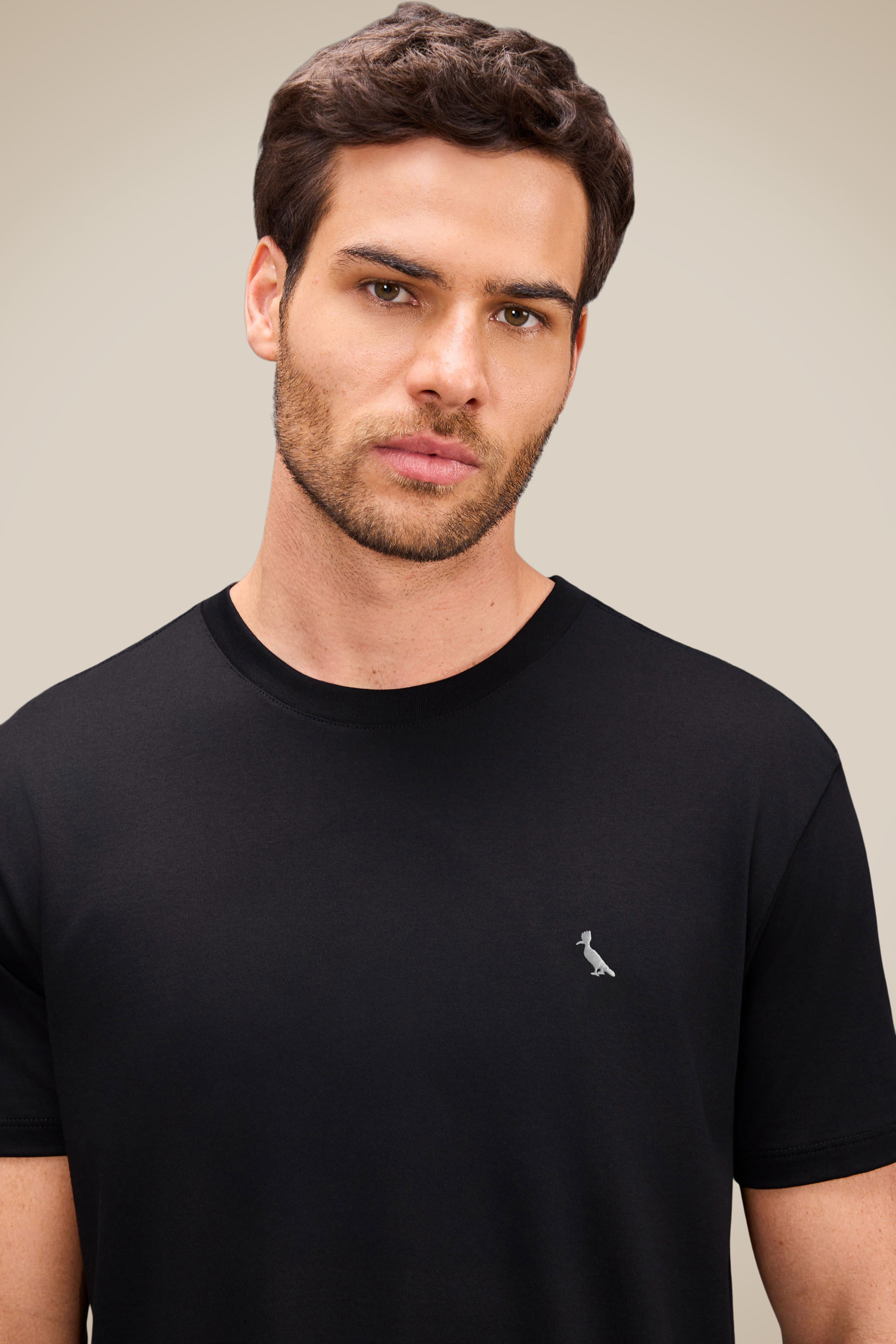 camiseta suspiro pica-pau bordado