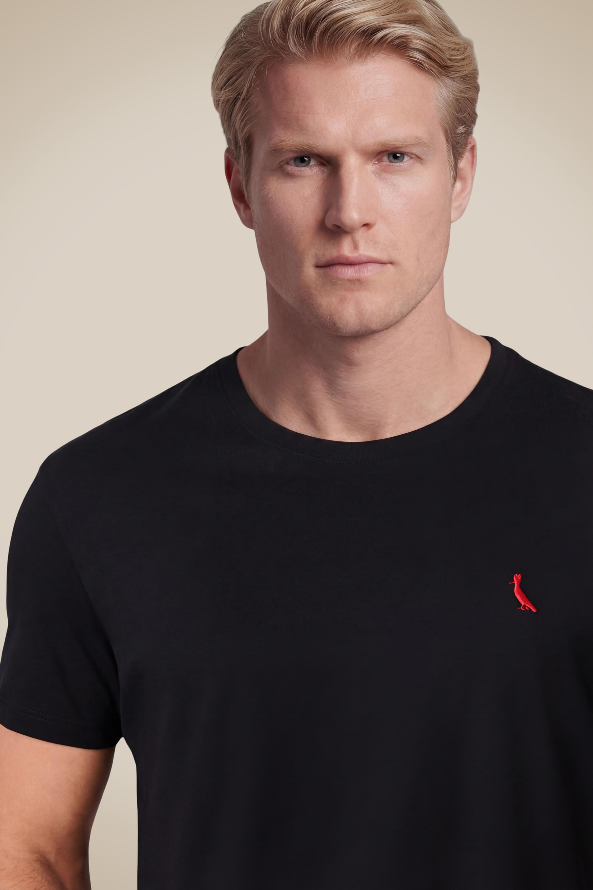 camiseta basica reserva pica-pau