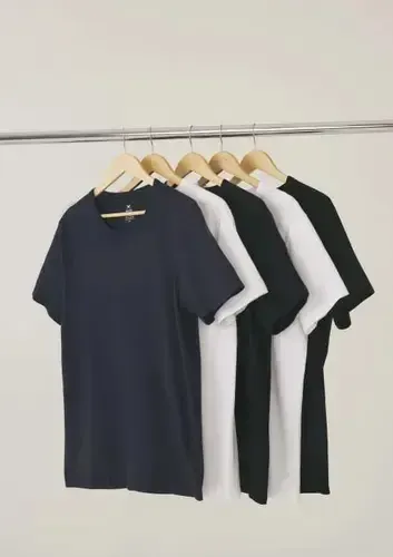 Kit 5 Camisetas Hering Masculina Basica Original Algodão