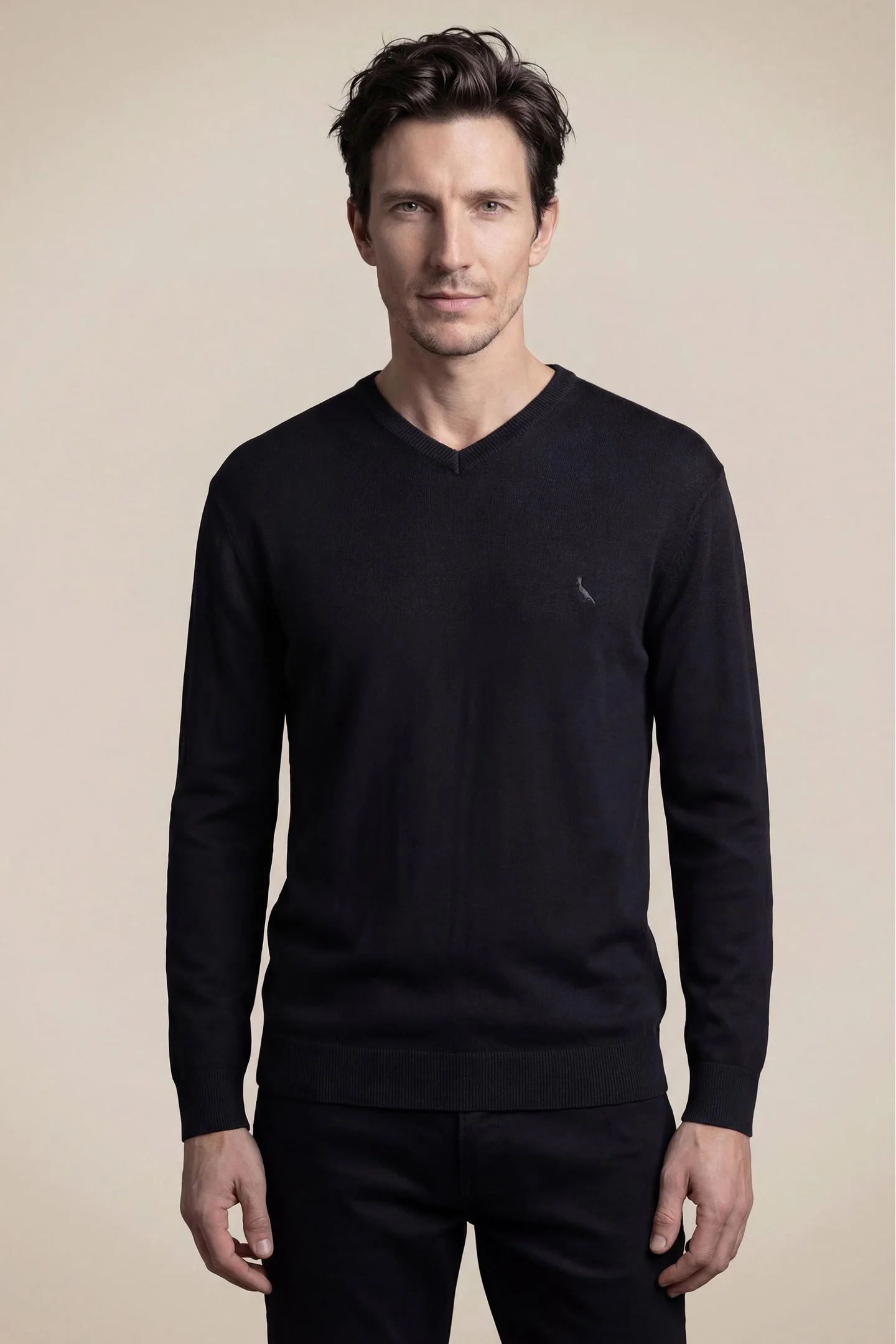 Tricot Basico Gola V