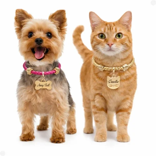 Coleira Pet Personalizada Placa Nome Telefone Gravados Laser