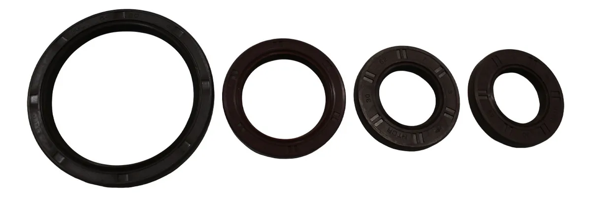 Jogo Juntas C/ Retentores Palio / Tipo 1.6-8v Argentino