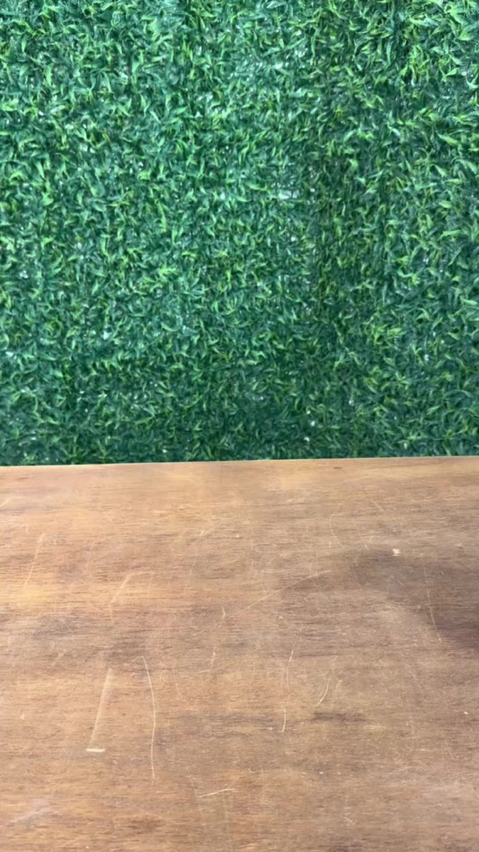 Snow Foam Manual E Pulverizador Híbrido 3 Em 1 Cap. 2 Litros