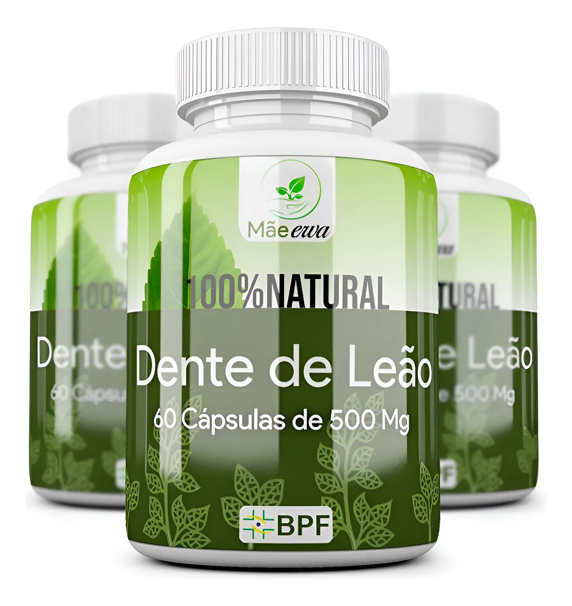 Dente De Leão 100% Puro 180 Cápsulas De 500mg Kit 3 Potes
