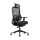 Cadeira De Escritório Ergonômica Zaruus Siriuss