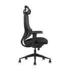 Cadeira De Escritório Ergonômica Zaruus Siriuss