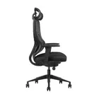 Cadeira De Escritório Ergonômica Zaruus Siriuss