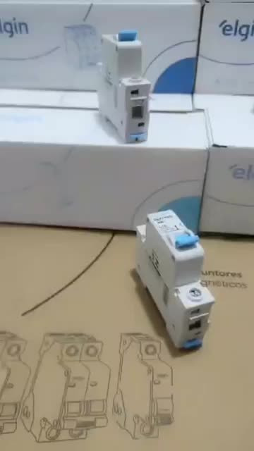 Disjuntor Bipolar Duplo Elgin 2p Curva C 6a A 63a