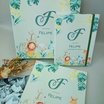 Livro do Bebê e Caderneta de Vacina Safari