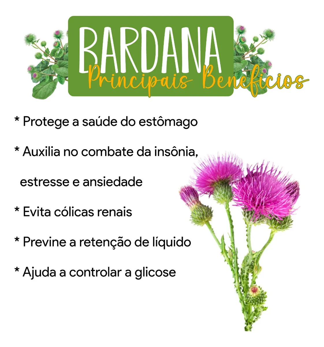 Bardana Em Capsulas De 500 Mg Produto 100% Puro Natural