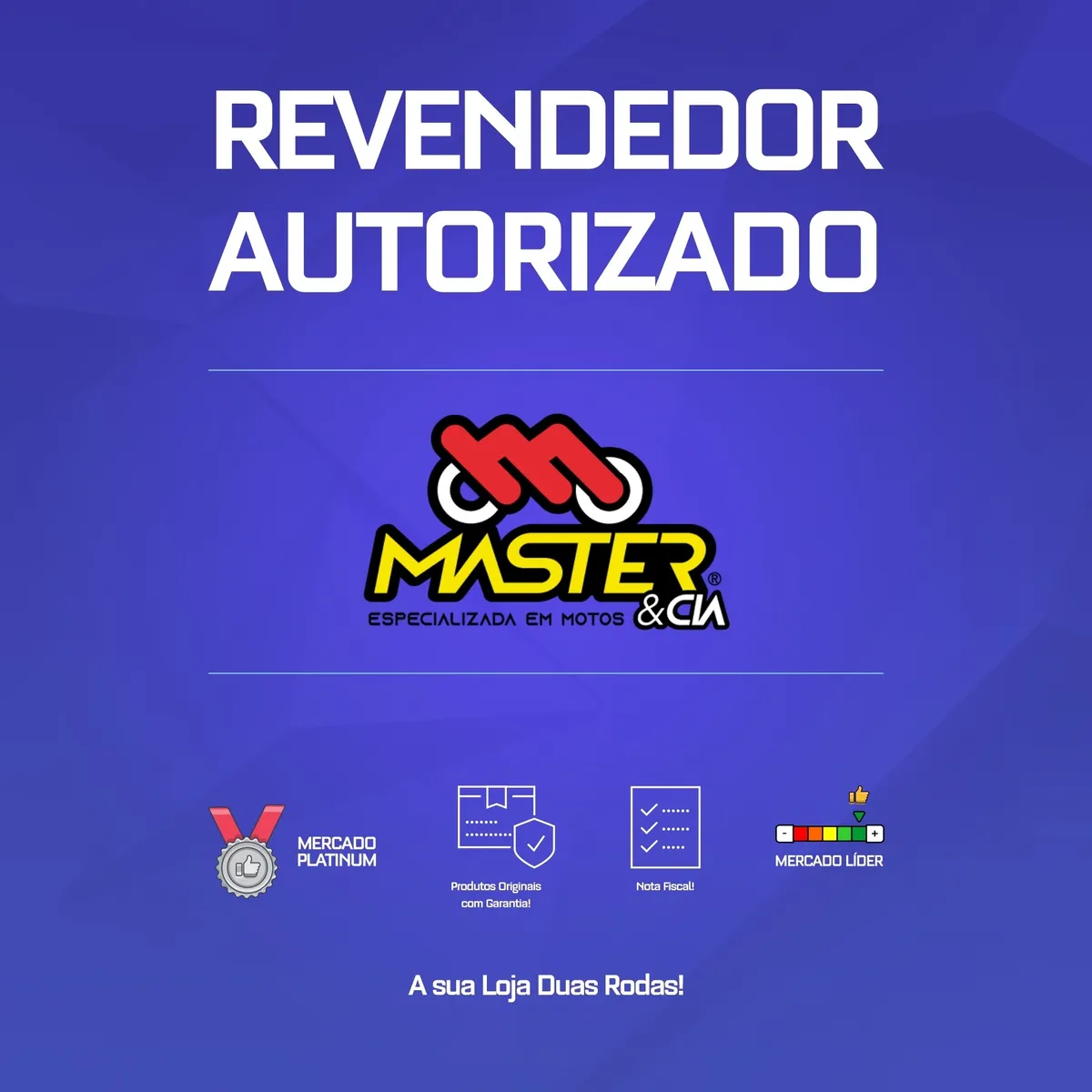 Pino Cursado Excêntrico 2mm - Crf230 / Cg125 99 / Strada