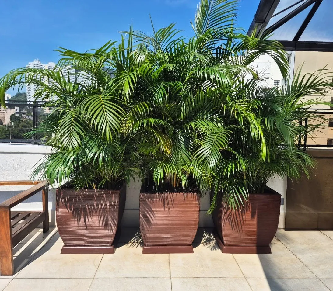 Vaso Grande De Planta Frutifera Forte E Resistente 60x56