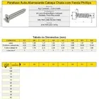 Parafuso 4,2x22 Cabeca Chata Phillips A/a - Pct C/100 Pcs