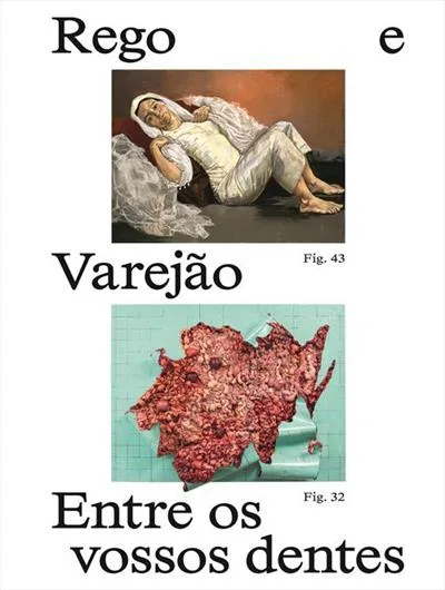 título : Paula rego e adriana varejão: entre os vossos dentes