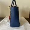 Bolsa Azul Luz da Lua |  Luz Da Lua Usado 138170581