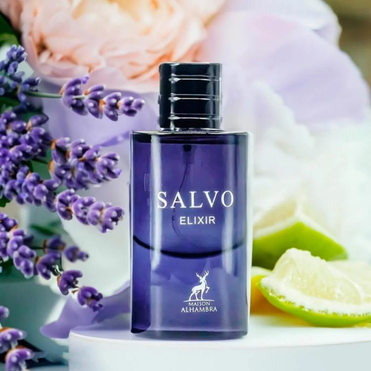 Perfume Salvo Elixir Maison Alhambra EDP Masculino 60ml - Incolor