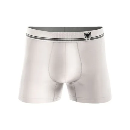 Kit 5 Cuecas Boxer Cavalera Sem Costura Poliamida Original