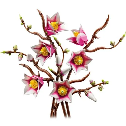 Colecao Botanica - Ramos de Magnólia