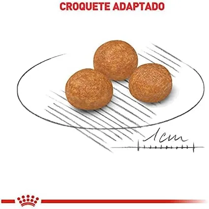 ROYAL CANIN Ração X-Small para Cães Adultos 2,5kg Raça Adulto