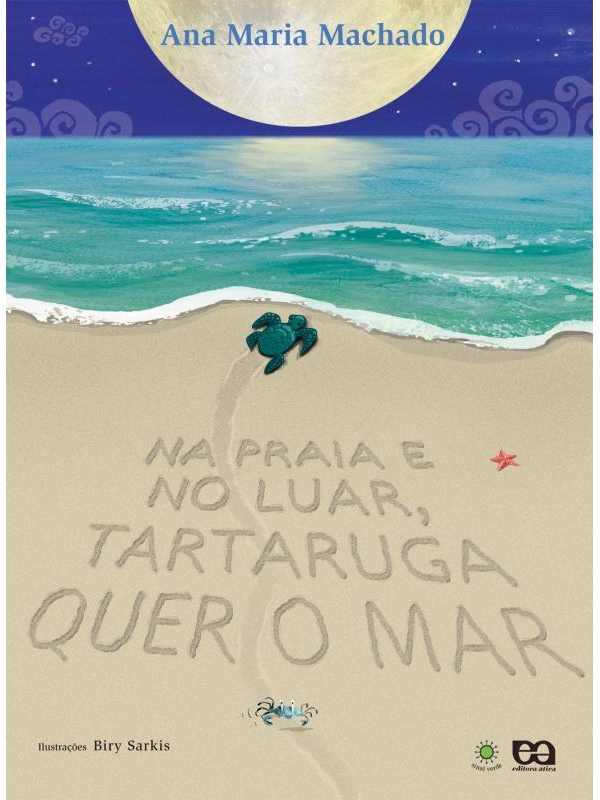 Na praia e no luar, tartaruga quer o mar