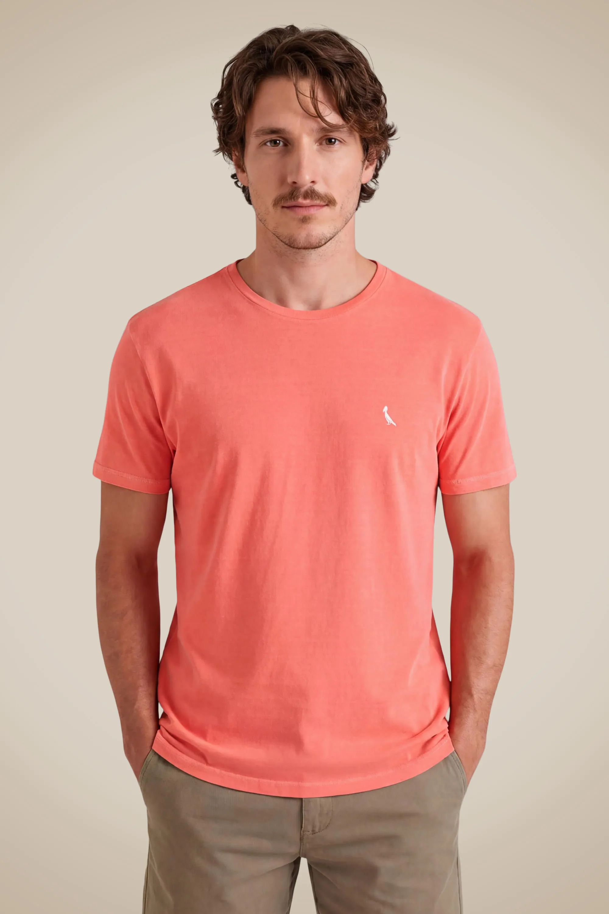 camiseta básica suspiro pica-pau bordado