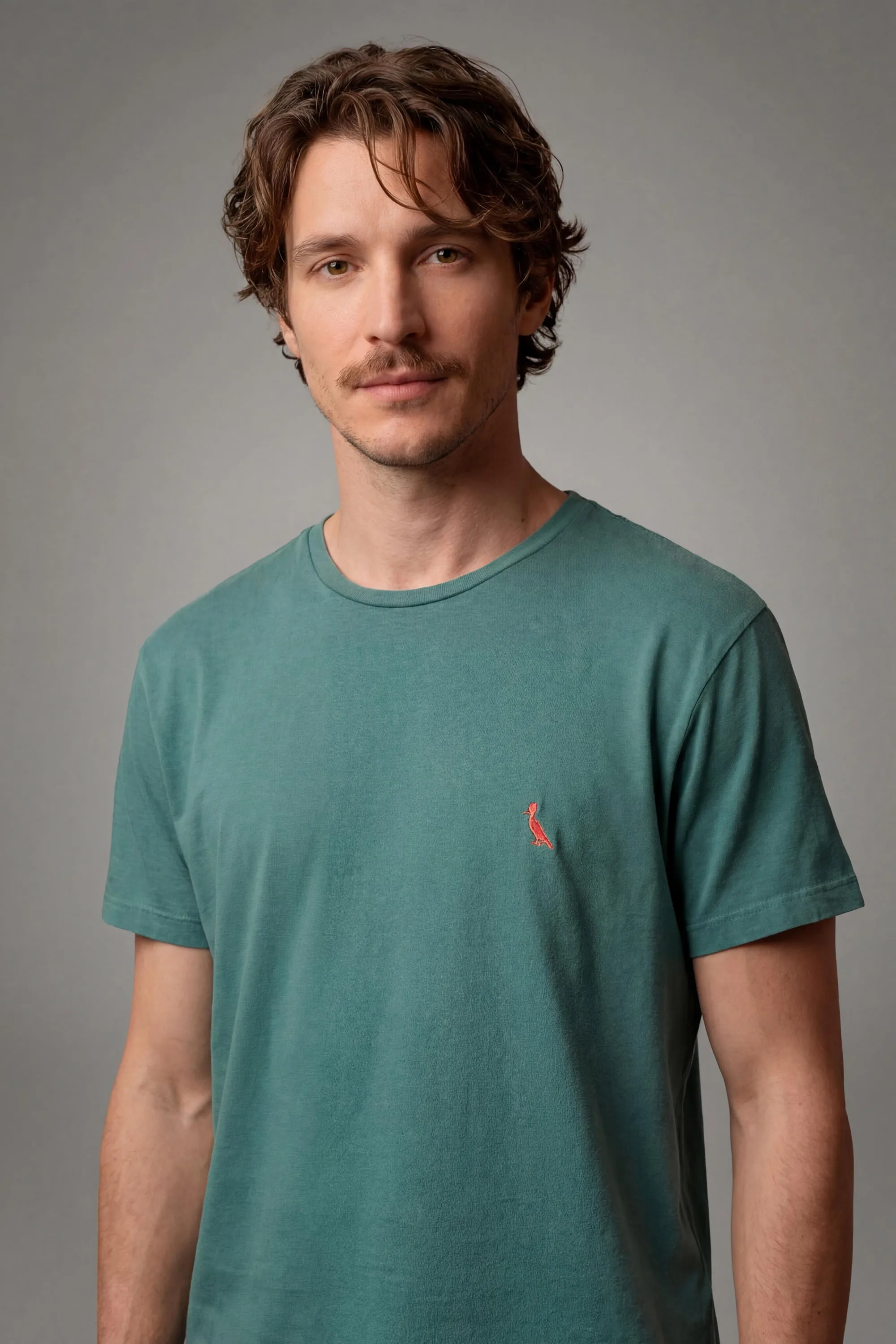 camiseta brasa pica pau bordado